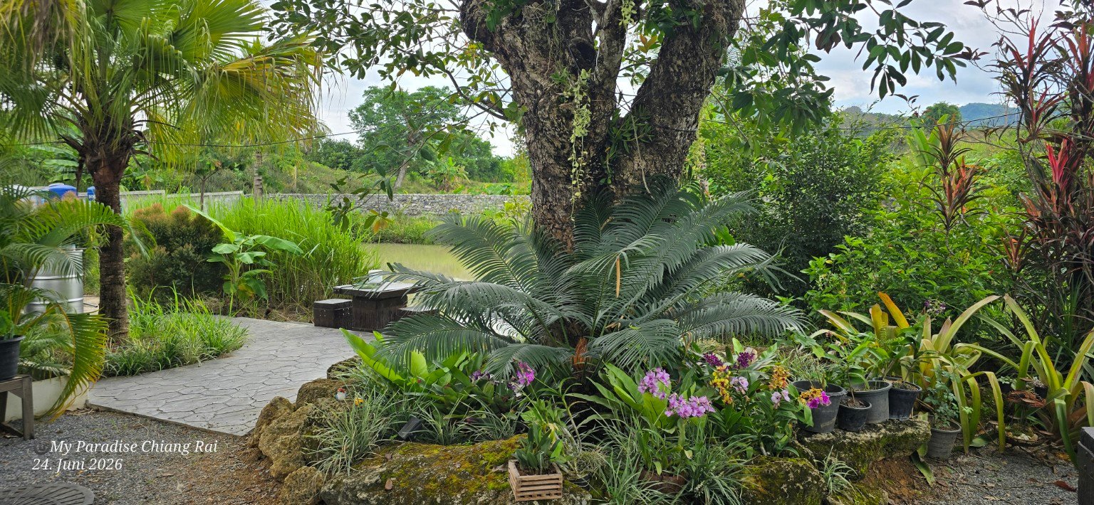 Tropical garden