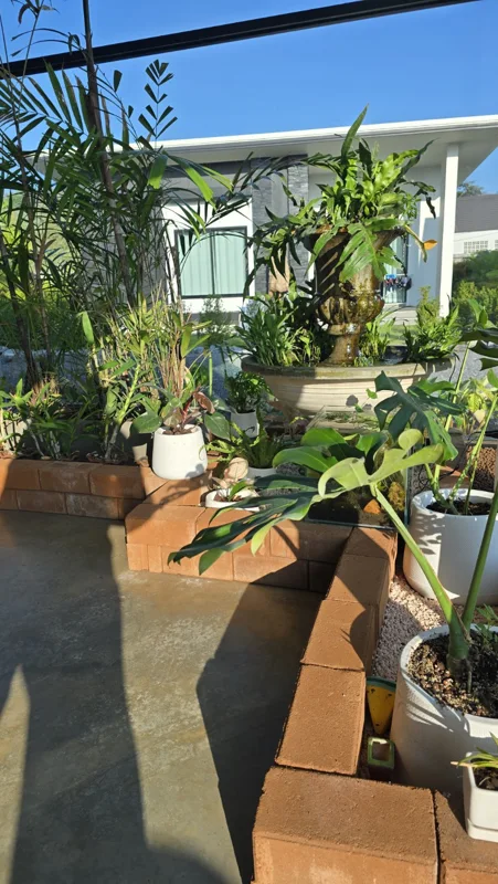 Café & Bakery · Café terrace