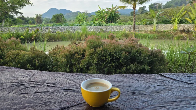 Garden, Pool & Pond · Coffee with a pond view