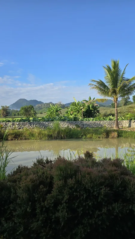 Garden, Pool & Pond · Pond & mountain view