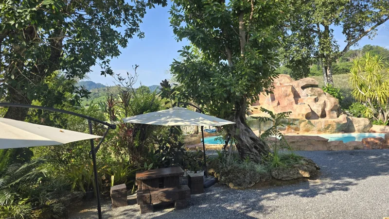 Garden, Pool & Pond · Pool & garden