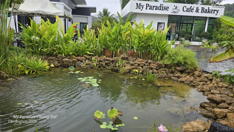 Garden, Pool & Pond · Garden pond by the café